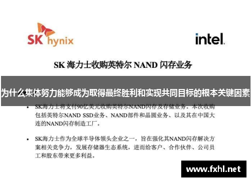 为什么集体努力能够成为取得最终胜利和实现共同目标的根本关键因素