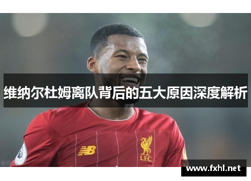 维纳尔杜姆离队背后的五大原因深度解析
